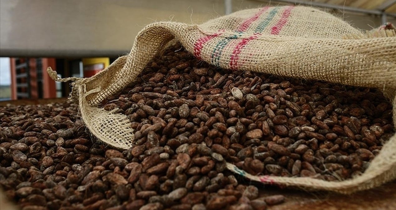 gecen yil rekor kirmisti bu kez sert dustu kakao fiyatlari eriyor hdFNNARb