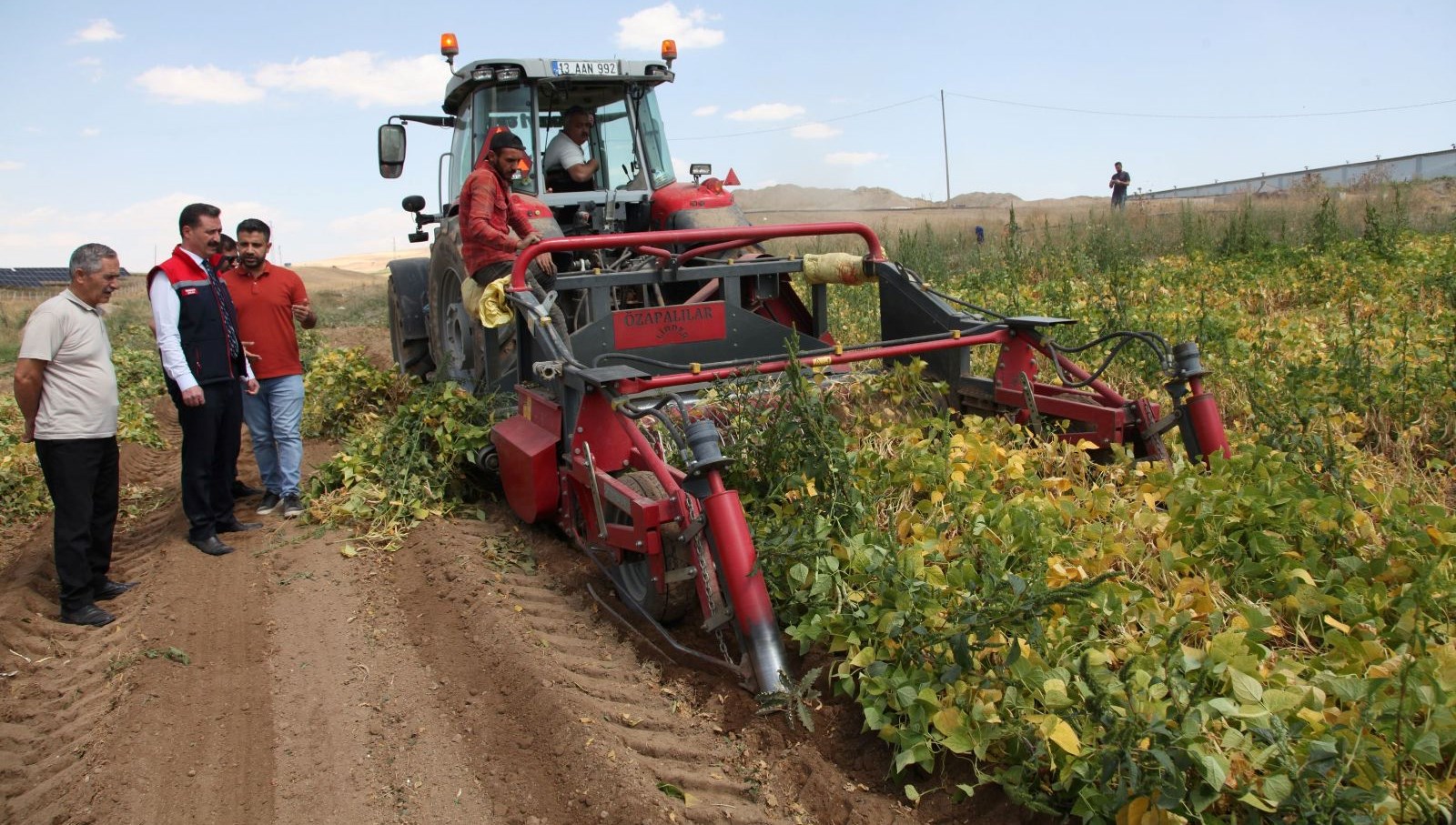kuru fasulyenin hasadina baslandi 5k7Myd41