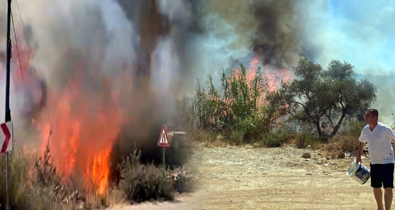 yola atilan sigara izmariti yangin cikardi RPabE7WL