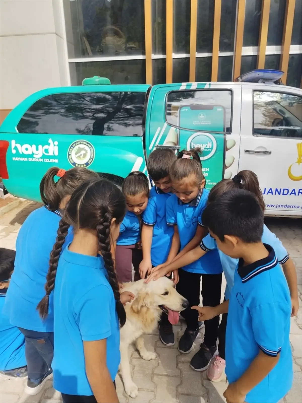 kumlucada hayvanlari koruma etkinligi ySXa3qsl