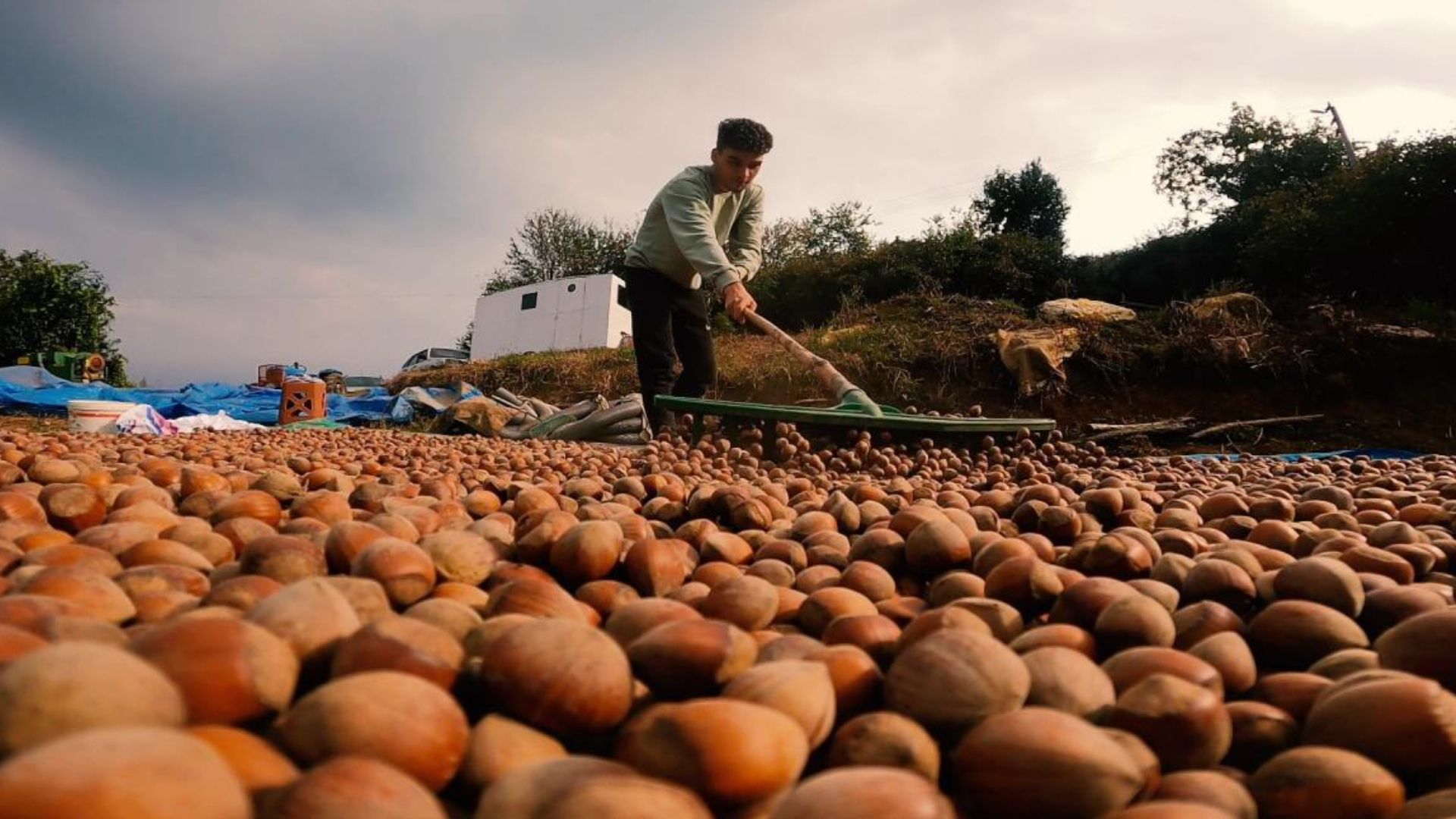 turkiye findik ihracatindan 9 ayda 16 milyar dolari askin gelir sagladi cfBI2BGr.jpg