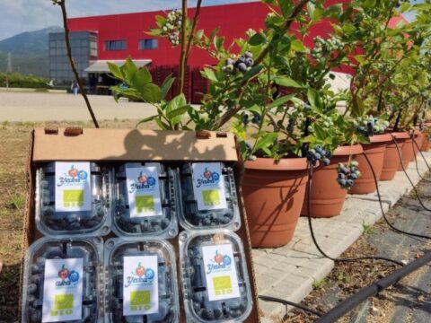 DCT Trading, teknolojik tarım yatırımlarıyla büyümeyi hedefliyor